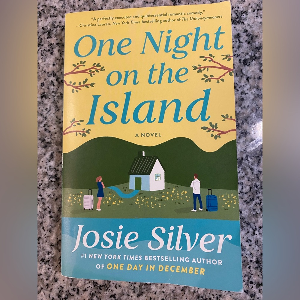 One Night on the Island